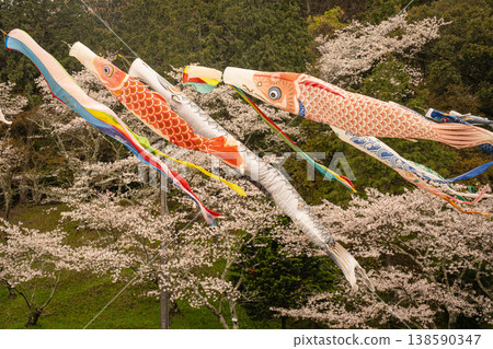 Carp streamer swimming with cherry blossoms Carp streamer swimming with cherry blossoms 138590347