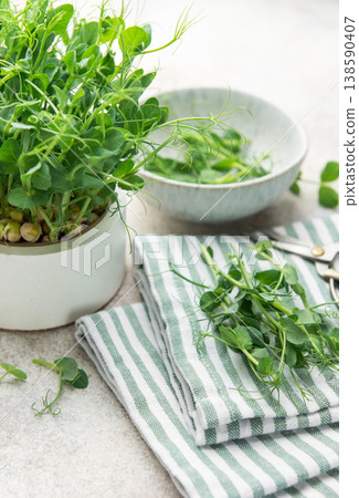 Fresh pea shoots growing and harvesting microgreens 138590407