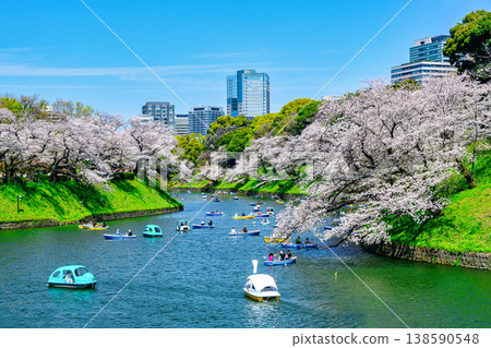 東京千鳥淵划船區：櫻花盛開，2026年 138590548
