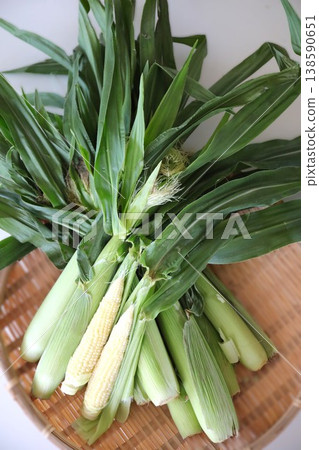 Young corn with the husks on, placed on a bamboo sieve Young corn with the husks on, placed on a bamboo sieve 138590651
