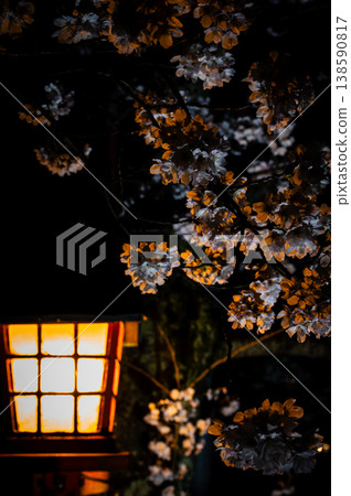 日式櫻花燈籠，夜間照明。 138590817
