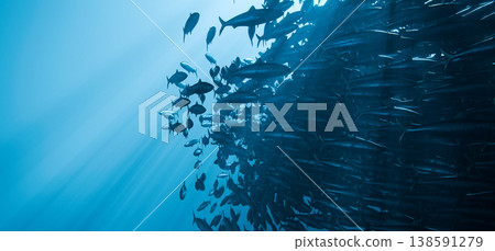 Sardine School Bait Ball Underwater Blue Ocean Fish Swarm, 3D Render  138591279