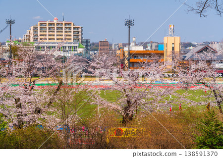 Hachioji City Cherry Blossom Festival, Fujimori Park, Tokyo Football Center Hachioji City Cherry Blossom Festival, Fujimori Park, Tokyo Football Center 138591370