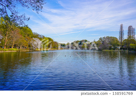 Inokashira Park Inokashira Park 138591769