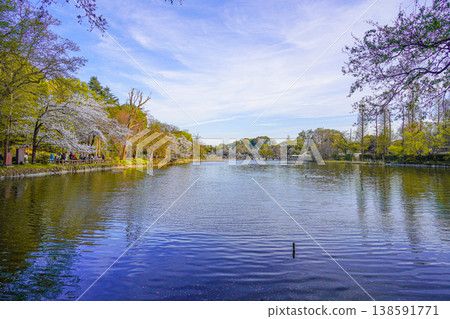 井之頭公園 井之頭公園 138591771
