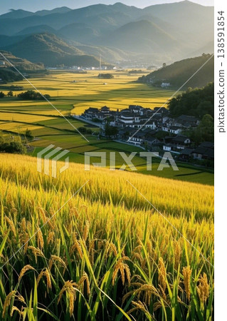 A tranquil village nestled in golden rice paddies; idyllic mountain scenery during harvest season. 138591854