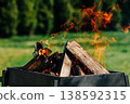 Birch logs burning in a grill on spring holiday, green grass, festive season 138592315