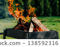 Birch logs burning in a grill on spring holiday, green grass, festive season 138592316