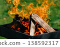 Birch logs burning in a grill on spring holiday, green grass, festive season 138592317