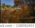 Tofuku-ji Temple in autumn, surrounded by vibrant autumn leaves 138592453