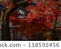 Tofuku-ji Temple in autumn, surrounded by vibrant autumn leaves 138592456