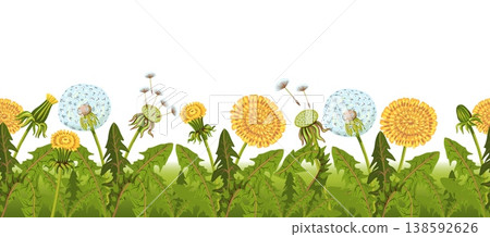 Dandelions seamless border. Summer flowers frame, fluffy yellow plants, horizontal background, floral design, summer or spring meadow plants decorative floral elements splendid vector concept Dandelions seamless border. Summer flowers frame, fluffy yellow plants, horizontal background, floral design, summer or spring meadow plants decorative floral elements splendid vector concept 138592626