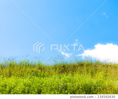 A refreshing blue sky, white clouds, and a simple, idyllic image of summer in Hokkaido. A refreshing blue sky, white clouds, and a simple, idyllic image of summer in Hokkaido. 138592630