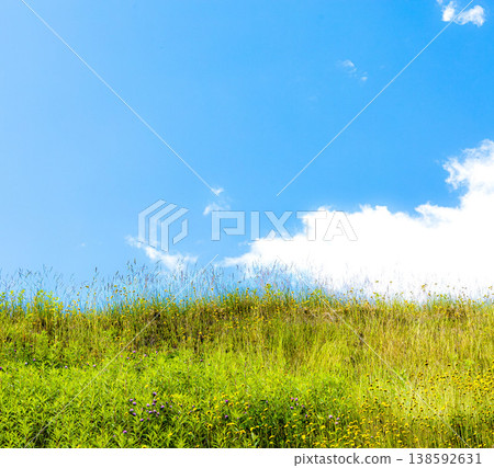 湛藍的天空,潔白的雲朵,構成了一幅北海道夏日田園詩般的簡單畫面。 湛藍的天空,潔白的雲朵,構成了一幅北海道夏日田園詩般的簡單畫面。 138592631