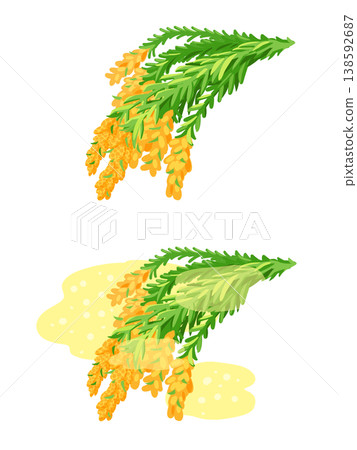 An illustration of a cedar tree releasing pollen. An illustration of a cedar tree releasing pollen. 138592687