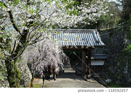 城山大手門的春天 城山大手門的春天 138592857