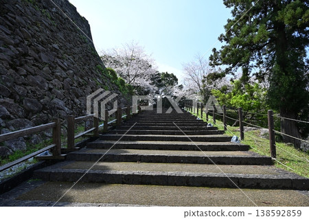 春天城山公園 春天城山公園 138592859