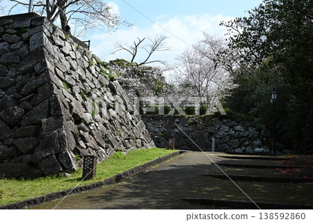 春天城山公園 春天城山公園 138592860