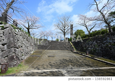 春天城山公園 春天城山公園 138592861