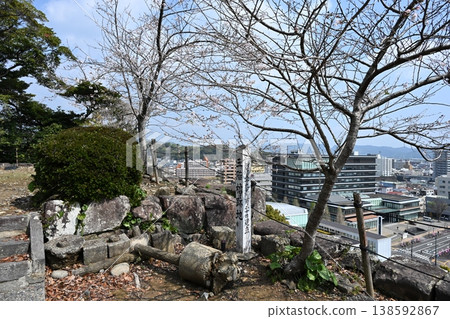 The ruins of the three-story turret on Shiroyama Hill and the city hall in spring. 138592867