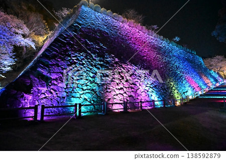 Shiroyama Park Light-up Shiroyama Park Light-up 138592879