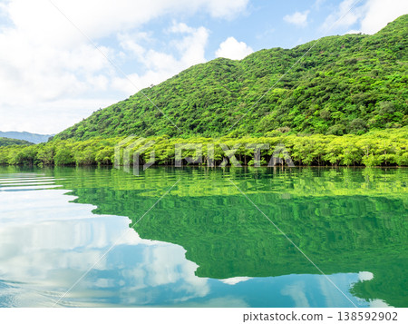 Urauchi River (Iriomote Island, Okinawa Prefecture) 138592902