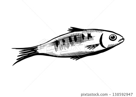 Sardine fish in minimalist black and white vector line art. Mediterranean seafood for healthy diet menu, canned food packaging, organic marine product label, and commercial fishing graphics 138592947