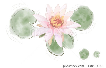 用水彩畫的蓮花插圖 138593143