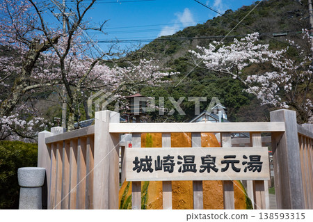 兵庫縣豐岡市城崎溫泉的原始溫泉，此時櫻花正值盛開。 138593315
