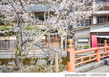兵庫縣豐岡市城崎溫泉大谷川沿岸的櫻花盛開。 138593336