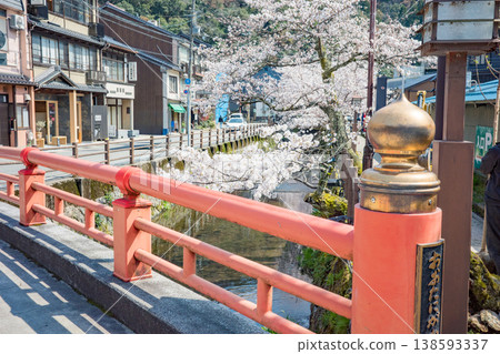 兵庫縣豐岡市城崎溫泉大谷川沿岸的櫻花盛開。 138593337