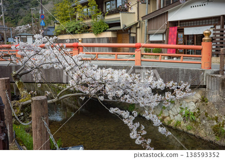 兵庫縣豐岡市城崎溫泉大谷川沿岸的櫻花盛開。 138593352