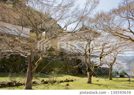 Izushi Castle ruins with cherry blossoms in full bloom in Toyooka City, Hyogo Prefecture Izushi Castle ruins with cherry blossoms in full bloom in Toyooka City, Hyogo Prefecture 138593639