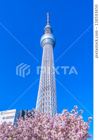 A view of Tokyo's cityscape, with the Tokyo Skytree and Gotemba cherry blossoms standing out against the blue sky = April A view of Tokyo's cityscape, with the Tokyo Skytree and Gotemba cherry blossoms standing out against the blue sky = April 138593650