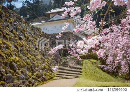 兵庫縣豐岡市櫻花盛開的出石城遺址 138594000