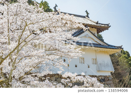 Izushi Castle ruins with cherry blossoms in full bloom in Toyooka City, Hyogo Prefecture 138594006