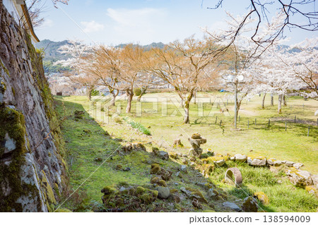 Izushi Castle ruins with cherry blossoms in full bloom in Toyooka City, Hyogo Prefecture 138594009
