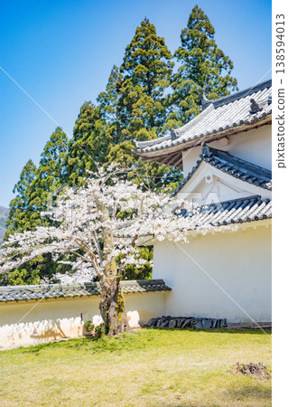 Izushi Castle ruins with cherry blossoms in full bloom in Toyooka City, Hyogo Prefecture Izushi Castle ruins with cherry blossoms in full bloom in Toyooka City, Hyogo Prefecture 138594013