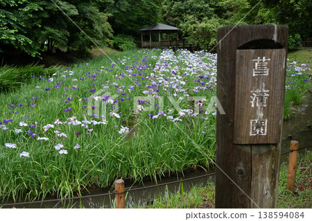 生田綠地的Irurakaen 生田綠地的Irurakaen 138594084