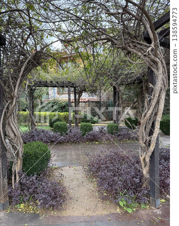 Arched garden walkway with twining vines and lush greenery, ideal as serene natural background Arched garden walkway with twining vines and lush greenery, ideal as serene natural background 138594773