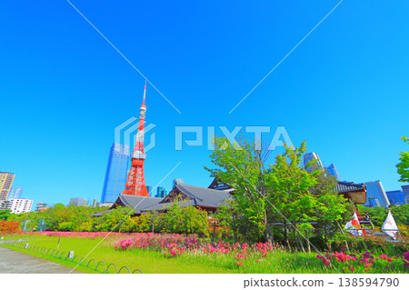 東京港區盛開的花和東京鐵塔 138594790