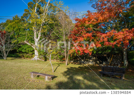 靜岡縣濱松市戶葉山公園的秋葉景色 靜岡縣濱松市戶葉山公園的秋葉景色 138594884