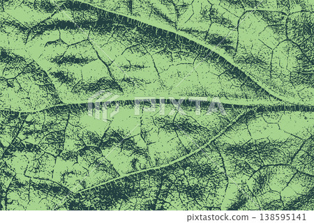 Textured Green Leaf Abstract Background Textured Green Leaf Abstract Background 138595141