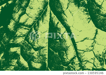 Textured Green Leaf Abstract Background 138595146