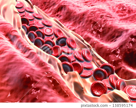 Red blood cells flowing in vein Red blood cells flowing in vein 138595174