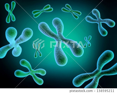 chromosomes 138595211