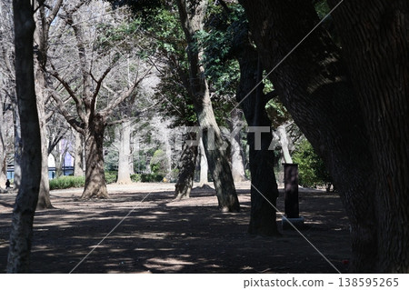 公園景觀,有樹林和步道。 公園景觀,有樹林和步道。 138595265