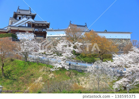 [Kyoto Prefecture] Fukuchiyama Castle with cherry blossoms in full bloom 138595375