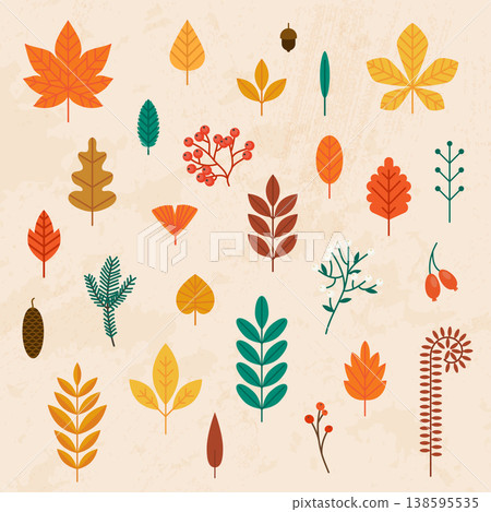 Autumn leaves set. Flat design modern vector illustration concept. 138595535
