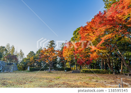 靜岡縣濱松市戶葉山公園的秋葉景色 靜岡縣濱松市戶葉山公園的秋葉景色 138595545